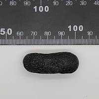 360d8826-3846-5303-a391-438691297280.jpg Black Tektite Space Glass Specimen | #563