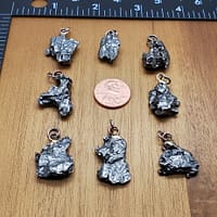 842b967e-5d1d-56c2-8d29-de07b5338a6c.jpg Meteorite Pendants | Campo Del Cielo | Group D