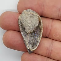 48ceb4d4-d051-55bd-8826-65decbd7bc74-1.jpg Spiralite Aura Druze Fossil