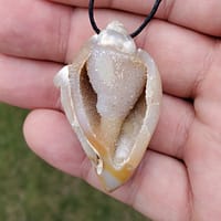 5fcd75c3-9458-5d5f-8a71-ed1584c3b090-1.jpg Spiralite Aura Fossil Pendant Large | #1488