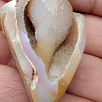 63811800-ec4c-5ba5-84d4-44ce0901a5cd-1.jpg Spiralite Aura Fossil Pendant Large | #1488