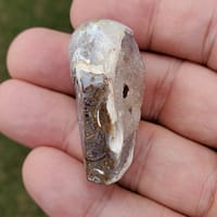 6e7d6e45-17b2-57e8-af3b-01adffa1697a-1.jpg Spiralite Rainbow Aura Fossil Specimen Medium | #1417
