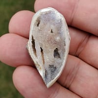820a4d16-2dfb-50a8-8273-d28dc651b517-1.jpg Spiralite Rainbow Aura Fossil Specimen Medium | #1417