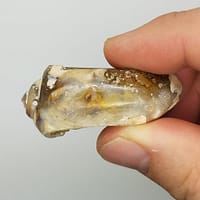 8aaa7aba-5344-536e-884a-e9cfb1d4f634.jpg Medium Spiralite Aura Fossil | #1399