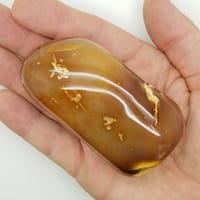 b17bcd73-9fc0-5c4a-a1b6-fcc3f6312a46.jpg Carnelian Free Form Shape | #2045