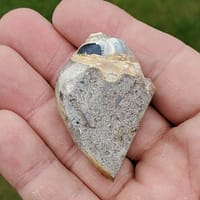 b4372248-4c6b-59c5-8c25-bfe54f1251a4-1.jpg Spiralite Druzy Fossil Specimen SP16