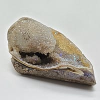c7e1c237-5edb-58af-a7f3-ab20dc31d67f-1.jpg Spiralite Aura Druze Fossil