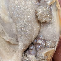 dd697c4d-ce35-5b05-9262-1c8ccb26b7df-1.jpg Spiralite Druzy Fossil Specimen SP16