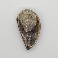 e3a0eab4-94f5-5ef4-b20c-820c5d2bf0df-1.jpg Spiralite Aura Druze Fossil