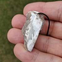 e89e9a0b-bb13-5780-89f8-39c4ae00a866.jpg Spiralite Aura Fossil Pendant Large | #1475