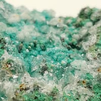 eac118dc-8776-5737-8c9f-dd5ee022e6d6.jpg Chrysocolla Natural Specimen Wholesale 1 LB