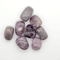 8fb9d20a-bf1c-5f69-a0b4-cd18e25399e7.jpg Lepidolite Tumbled Gemstone 1 pound