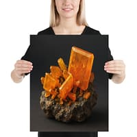 enhanced-matte-paper-poster-in-16x20-person-6a20090759d9f.jpg Desert Fire: Wulfenite Crystal Formation