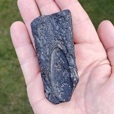 bc85f9bb-803d-5a70-ac2d-e0c8e56bc560-1.jpg Large Black Thailand Tektite Specimen | WSTEK6
