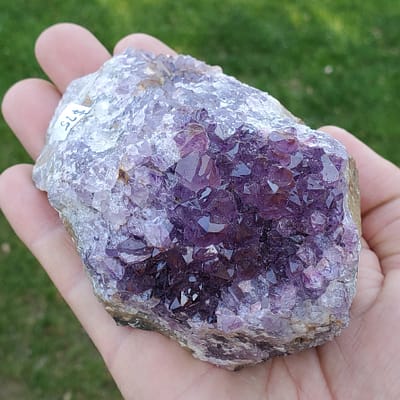 ee2b4f68-3670-5bca-a856-a5813354ff5b.jpg Amethyst Cluster Medium Thunder Bay