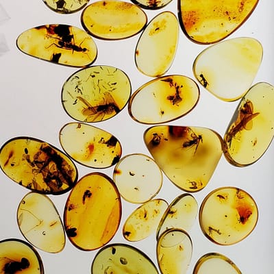 f6caee29-f7f7-5652-a331-9a736793b926.jpg 10 Amber Specimens with Insect Inclusions Mini Size