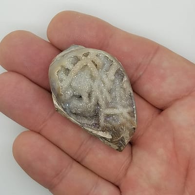 42df29ed-ac43-5ea0-8ac3-44bd60b3aa24-1.jpg Large Spiralite Aura Fossil