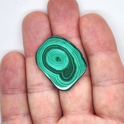 adf62137-1a54-5b9c-8772-cbba5f3e961f.jpg Malachite Polished Slice | #2117