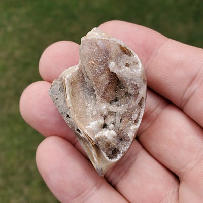 cbc3f63d-aad4-59c5-8bf5-8016913e270d-3.jpg Spiralite Aura Fossil Specimen Large