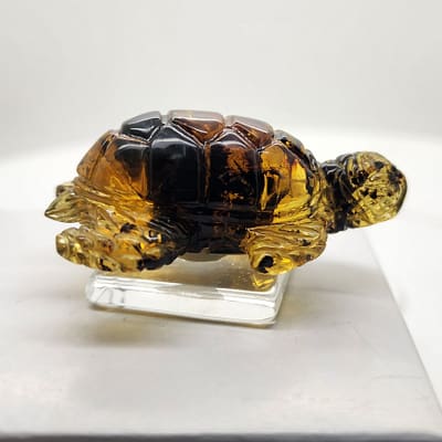 20260309_093001 Carved Turtle Amber Mexican Chiapas