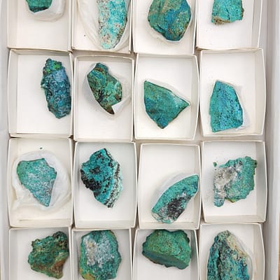 Chrysocolla Specimen flat 16 Chrysocolla Specimens Mexico - Full Flat