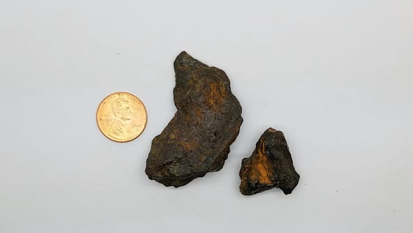 55363a74-fde8-5648-8094-5ee5021d8633.jpg Meteorite Specimens 2 Piece Campo del Cielo | 36.4GR