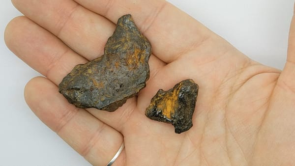 5cedc2aa-e47b-56e0-904d-bfbe693e6f66.jpg Meteorite Specimens 2 Piece Campo del Cielo | 36.4GR