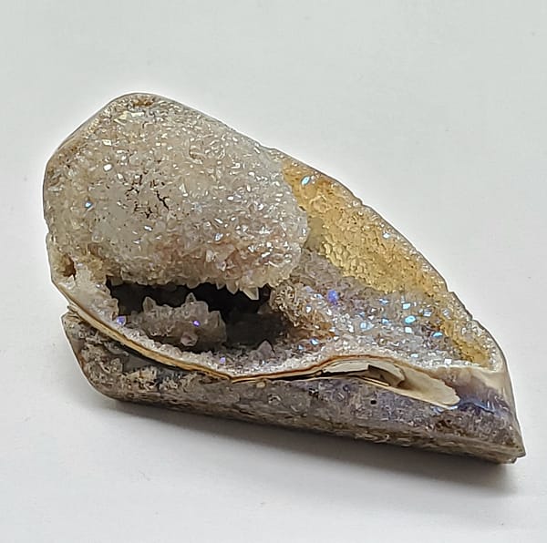 c7e1c237-5edb-58af-a7f3-ab20dc31d67f-1.jpg Spiralite Aura Druze Fossil