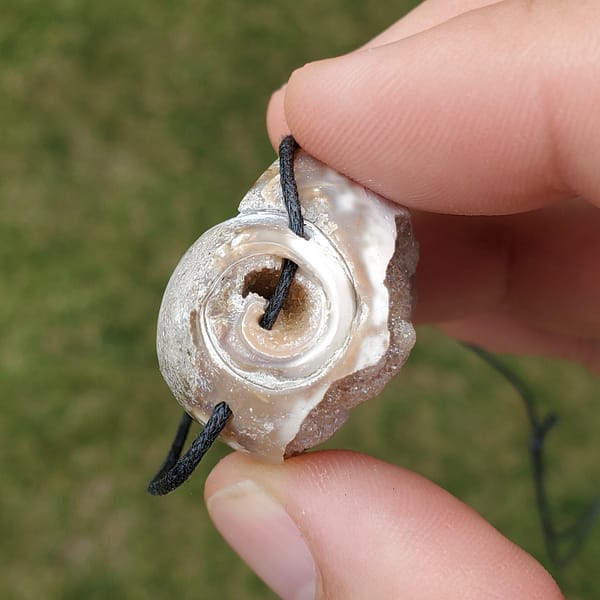 0c888473-7db3-5699-8b53-7627b9a31c0b.jpg Spiralite Aura Fossil Pendant Large | #1475