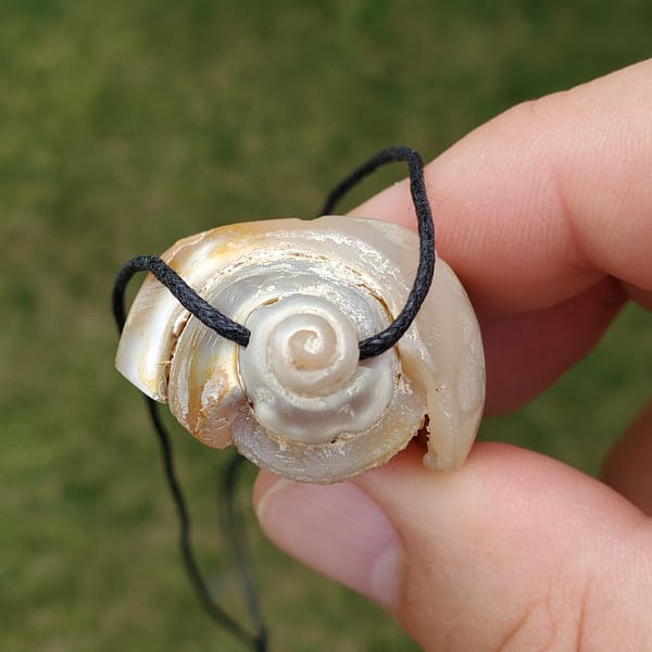 1ff521c8-ff0b-5d57-93b2-1c8a46fc29c5-1.jpg Spiralite Aura Fossil Pendant Large | #1488