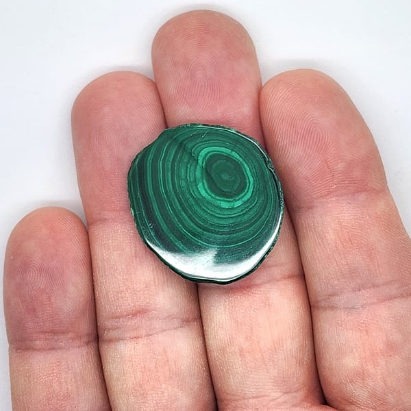23ac22a5-d531-58eb-8da4-3121515e17ea.jpg Malachite Polished Slice | #2120
