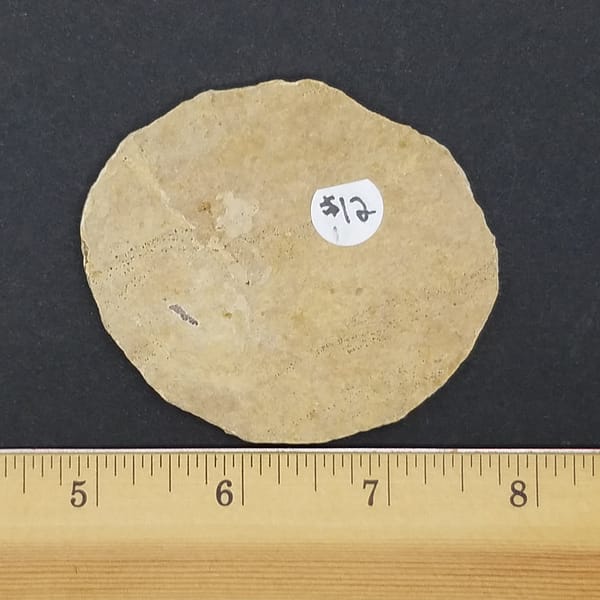3a500c80-8cb2-54e5-a9a0-f39cc46da999.jpg Knightia Fossil Fish | #1535
