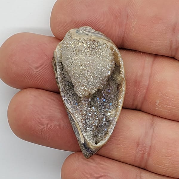 48ceb4d4-d051-55bd-8826-65decbd7bc74-1.jpg Spiralite Aura Druze Fossil