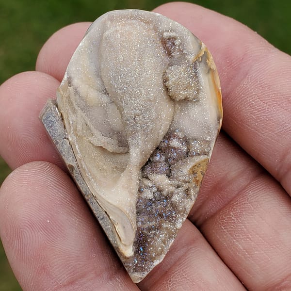 6e86d8b9-d212-589a-8414-fe6260ff9d71-1.jpg Spiralite Druzy Fossil Specimen SP16