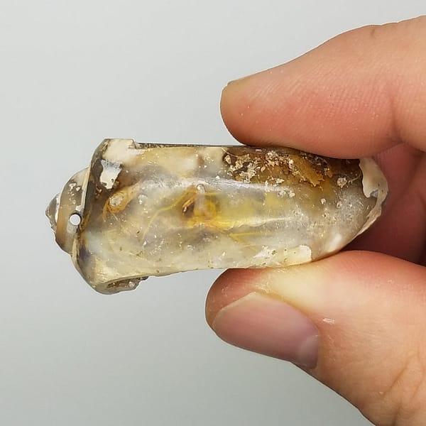 8aaa7aba-5344-536e-884a-e9cfb1d4f634.jpg Medium Spiralite Aura Fossil | #1399