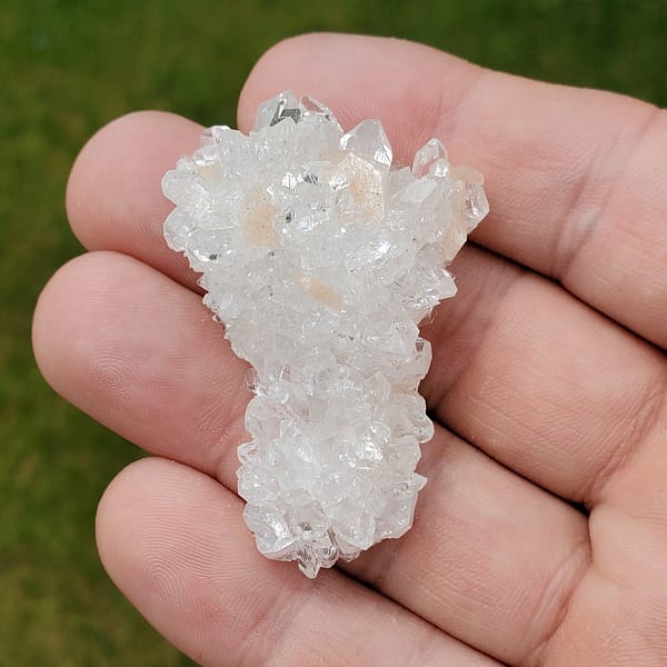 8cf871c7-ec93-594e-bd06-727a4fe57bc3.jpg Awesome Apophyllite Small Cluster APO4-4