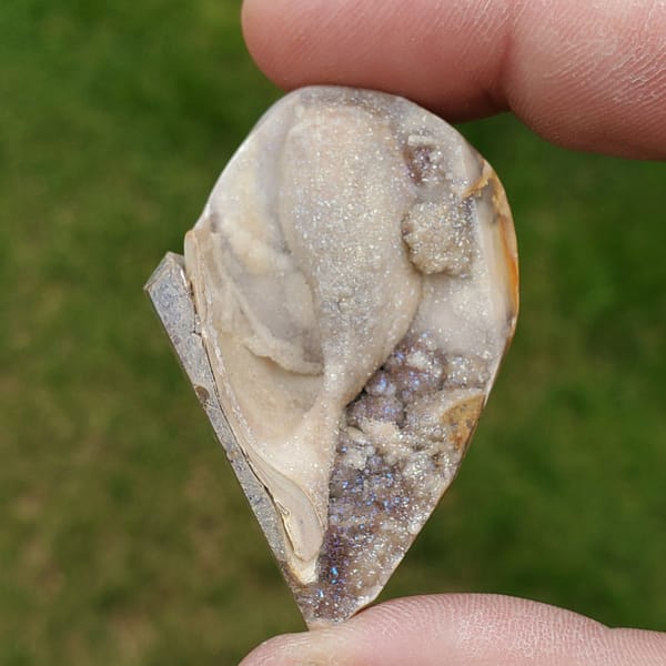 91ba221d-27eb-5a09-8704-8b919f3c0e9f-1.jpg Spiralite Druzy Fossil Specimen SP16