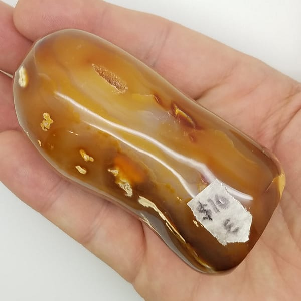 9a42eff0-4b01-512a-9fe6-5874cd202d38.jpg Carnelian Free Form Shape | #2045