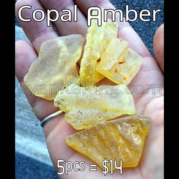 9b6f8ee5-a4ad-580e-a8e6-aa8690f136d7.jpg Amber Copal Rough Pieces 5 pc
