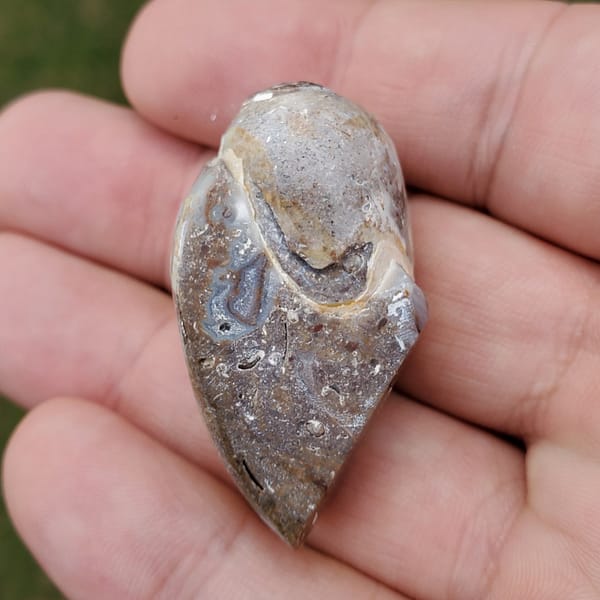 a7a48640-3b04-55fc-a322-50e8e7d24bf0-1.jpg Spiralite Rainbow Aura Fossil Specimen Medium | #1417