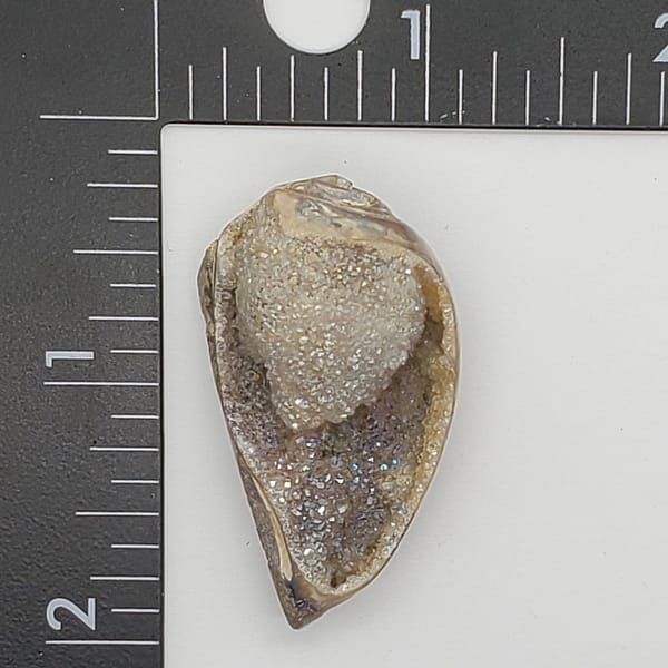 b6c251f5-116e-557c-8149-9b6281c519d0-1.jpg Spiralite Aura Druze Fossil