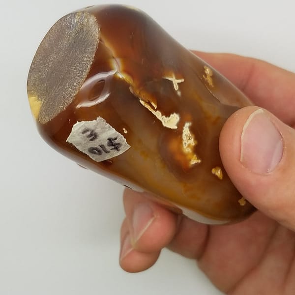 cf6dbd32-d682-52a7-9fce-a9d49aeb789a.jpg Carnelian Free Form Shape | #2045