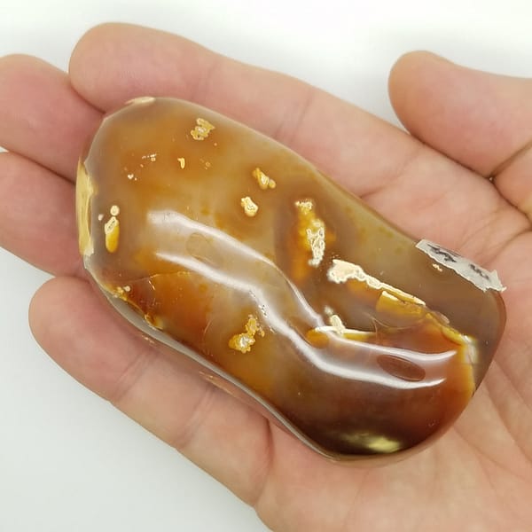 e1fab11e-1b8e-594b-8a5a-47a8e7364752.jpg Carnelian Free Form Shape | #2045
