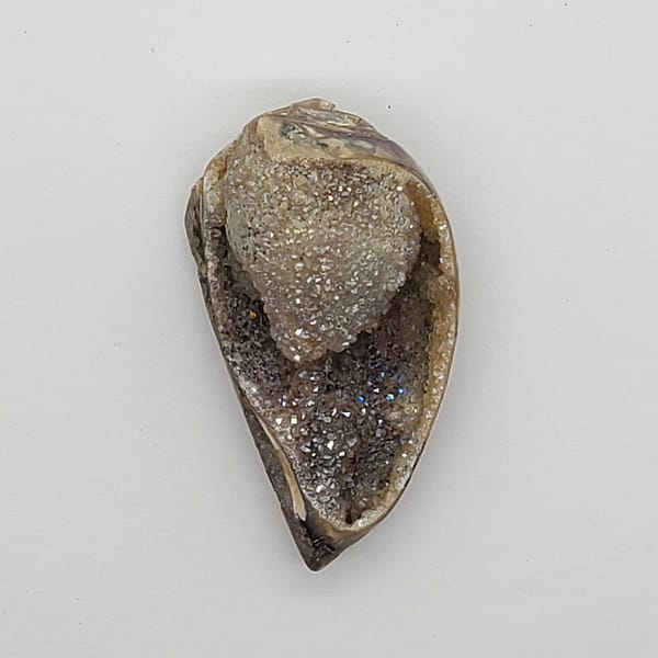 e3a0eab4-94f5-5ef4-b20c-820c5d2bf0df-1.jpg Spiralite Aura Druze Fossil
