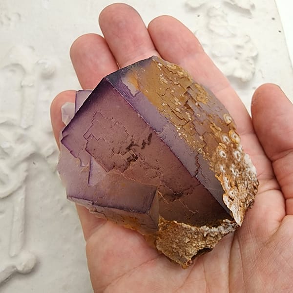 Fluorite Specimen Fluorite Medium Cabinet Specimen – A Crystal of Clarity & Focus ✨