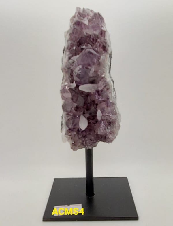 20e30896-2438-57c2-937b-f482cd8c7e62.jpg Amethyst Cluster Medium on Stand | #198