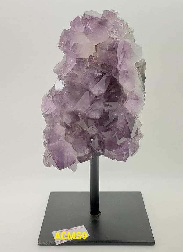 4894a6dd-e609-57d9-90e9-15b47c378547.jpg Amethyst Cluster Medium on Stand | #192