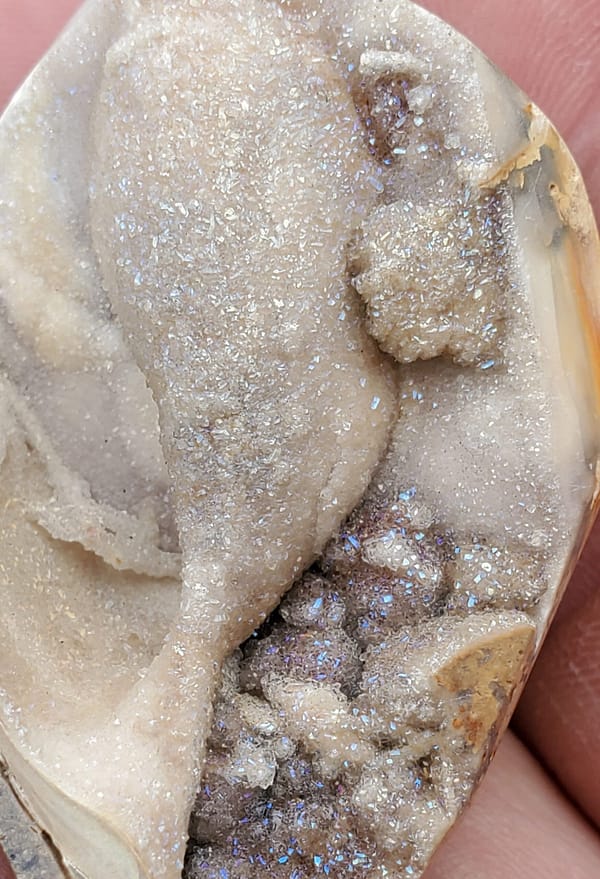 dd697c4d-ce35-5b05-9262-1c8ccb26b7df-1.jpg Spiralite Druzy Fossil Specimen SP16